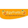 EGYFRUITS FOR EXPORT AGRICULTURAL PRODUCTS